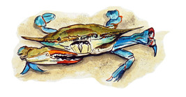 Blue Crab in Sand Printed Vinyl Decal Wall Window Car Sticker - £5.56 GBP+