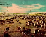 Vtg Postcard Phoenix Arizona AZ - Tovrea&#39;s Stock Yard Largest Feeding Pe... - $14.80