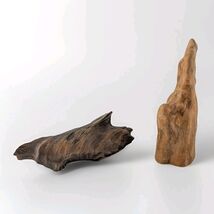 Natural Driftwood Decor 2pc Mixed Species Lot 9" Cypress Knee &amp; Mopani Wood - $24.70