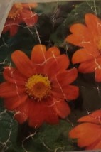 ArfanJaya Mexican Sunflower Orange Flower Seeds - £6.49 GBP