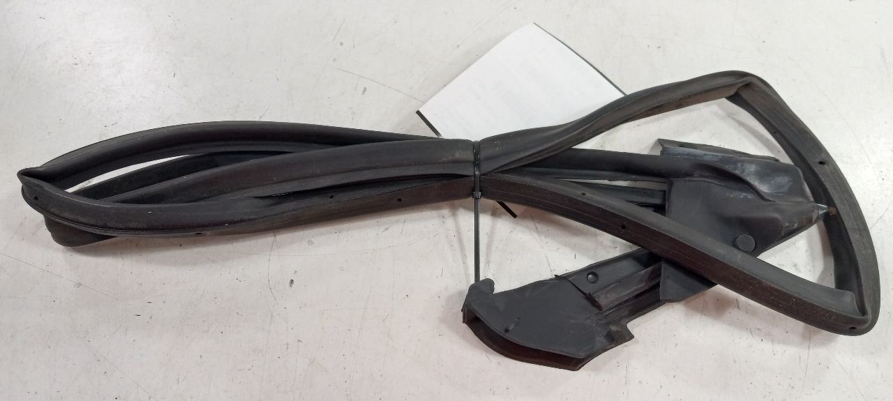 Hyundai XG350 On Door Seal Rubber Right Passenger Front 2003 2004 2005 - $49.84