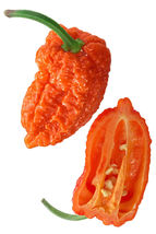 25 Seeds Naga Morich Pepper Vegetables Garden - $9.69