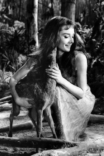 Audrey Hepburn 24x36 Poster as Rima in Green Mansions - $23.00