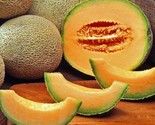 Delicious 51 Cantaloupe Seeds 50 Melon Fruit Summer Gardening - £7.22 GBP