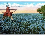 Blu Cuffiette Texas Stato Fiore Capitol Insetto Unp Lino Cartolina N18 - $3.37