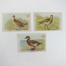 3 Victorian Trade Cards Arm &amp; Hammer Game Bird Prairie Chicken Plover Ru... - £11.18 GBP