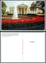 FLOWER / FLORAL Postcard - White House North Lawn, Tulips &amp; Grape Hyacinthe DZ1 - £2.32 GBP