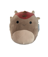 Squishmallow Ainhoca Dinosaur Plush, Ankylosaurus, 12&quot;, Very Soft, NEW - $20.17 CAD