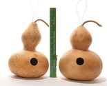 20 Seeds Birdhouse Bottle Gourd Seeds Native Heirloom Vine Crafts Birds ... - $8.99