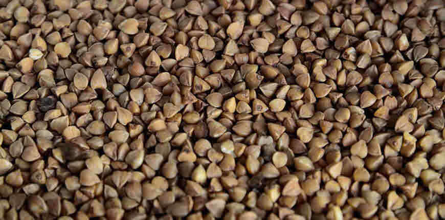 Primary image for Indian Fasting Food BUCKWHEAT SEEDS Kuttu Giri Whole FREE SHIP