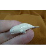 Whal-w98 little white baby Beluga Whale shed ANTLER figurine Bali detailed - $42.99