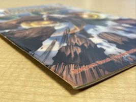 Item image 10