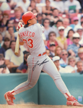 Jose Canseco signed Texas Rangers 16x20 Photo- Canseco Hologram - £33.65 GBP