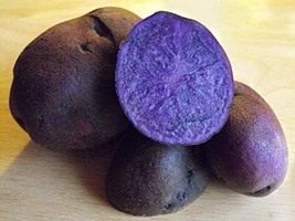 Potato Tubers Adirondack Blue (10 Micro Tubers), Seeds R - £34.38 GBP