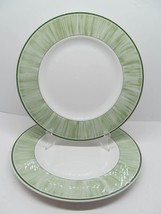 Villeroy And Boch Flora &quot;Grass&quot;  Set Of Two 10 1/2&quot; Dinner Plates VGC - £75.36 GBP