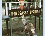Alligator Lagoon Homosassa Springs Florida FL UNP Chrome Postcard M16 - £3.92 GBP