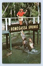 Alligator Lagoon Homosassa Springs Florida FL UNP Chrome Postcard M16 - £3.85 GBP