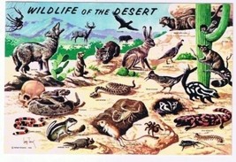 Wildlife Postcard Wild Life in Southwest Desert - $2.96