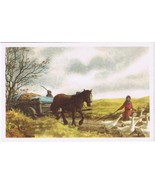 Belgium Illustration Card Our Glorys Historica Ltd The Padded Geese Huens - £3.88 GBP