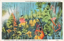 Silver Springs Florida~The Sunken FOREST-SEEN Through Glass BOATS~1920s Postcard - £8.73 GBP