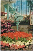 Missouri Postcard Saint Louis Tulips &amp; Hydrangea Jewel Box Forest Park - £1.63 GBP