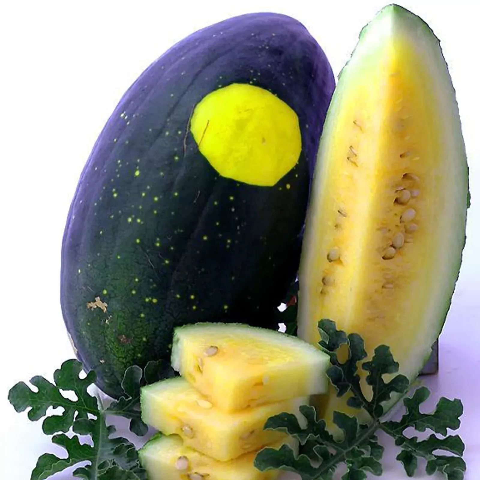 Primary image for 40 Seeds Moon & Stars Watermelon Yellow Flesh Non-Gmo