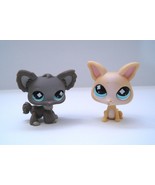 Littlest Pet Shop Chihuahua Dogs Funniest Pets #836 #837  - $336.48 MXN
