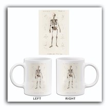 Human Skeleton - 1849 - Illustration Mug - $23.99+