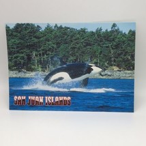 San Juan Islands Jumping Orca Whale Scenic Postcard Travel  - $2.96
