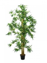 EUROPALMS Bamboo Multistamm,Artifical Plant,210cm - £108.32 GBP