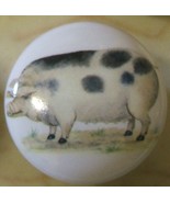 Ceramic Knobs Knob w/ Folksie Pig Swine Sow Boar - $4.46