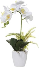 Olrla White Orchid Artificial Flower In Pot, Faux Phaleanopsis Orchid, White 1 - £30.36 GBP