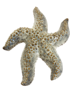 Artisan Ceramic Starfish Ornament Wall Decor Hang Table Dancing Taupe Sa... - £19.41 GBP