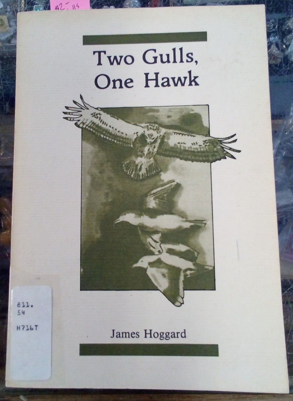 TEXAS. TWO GULLS, ONE HAWK BY JAMES HOGGARD Paperback Book - $0.99