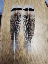 BV40 Pair Sweetgrass Turkey Tail Feather - £12.23 GBP