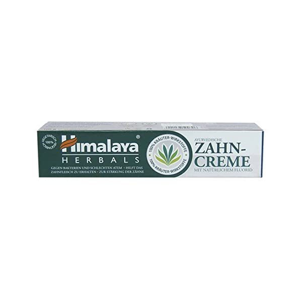 Himalaya Herbals Ayurvedic Dental Cream Toothpaste 100g  - $11.00