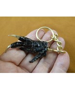 (G120-31) KEYCHAIN GATOR Aligator ALLIGATOR Claw foot key I love gators ... - $9.99