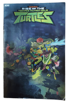 SDCC/NYCC 2018 Rise of The Teenage Mutant Ninja Turtles IDW Comics - $10.00