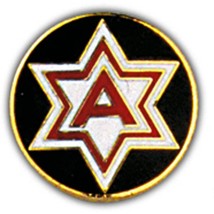 PINS- Army, 006TH (1&quot;) - £7.10 GBP