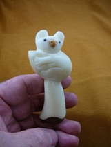 (TNE-BEA-KO-115b) little KOALA BEAR TAGUA NUT Figurine Carving Vegetable... - $28.04