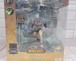 NIB McFarlane Blizzard WOW World of Warcraft Elf Druid and Elf Rogue Fig... - $24.30