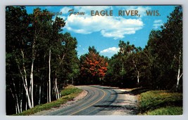 Eagle River road scene fall colors trees packard Vtg Postcard unp plasti... - $14.40