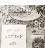 1889 Manhood Autumn Of Life Wood Engraving Victorian Paths Ephemera DWNN3 - $552.67 MXN