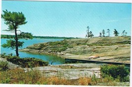 Ontario Postcard Rocky Shoreline Tree Lake - £2.32 GBP
