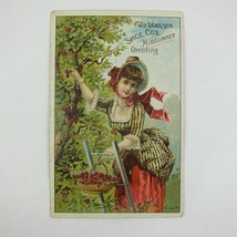 Victorian Trade Card Lion Coffee Woolson Spice Co Lady Picking Cherry Tree Red - £15.71 GBP