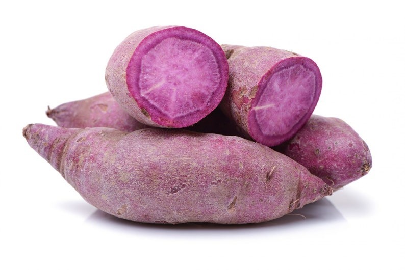 4 Short Season Sweet Potato Slips Organic Purple Inside And Out - $42.99