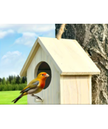 Hanging Bird's Nest - $46.55