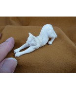 (CAT-W22)Medium stretching cat shed moose ANTLER figurine Bali detailed ... - $2,381.17 MXN