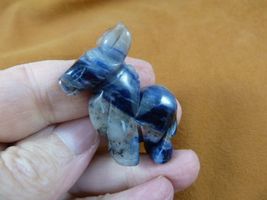 Y-BUR-575) Blue gray sodalite Donkey mule burro gemstone figurine burros... - $15.79