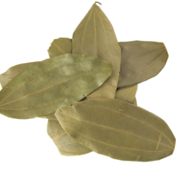 Bay Leaf Tej Patta - Indian Herbs and Spices for sale - 25 Grams - £7.10 GBP